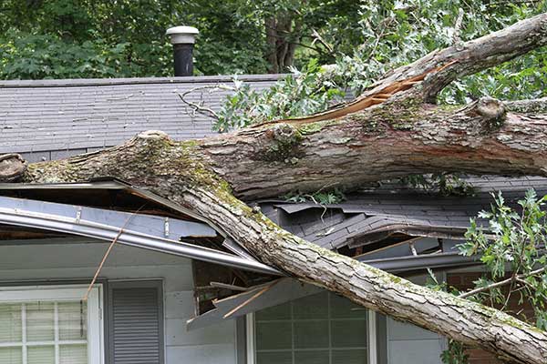 Home Insurance Claims Services Home Insurance Claims Services